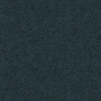 WV19